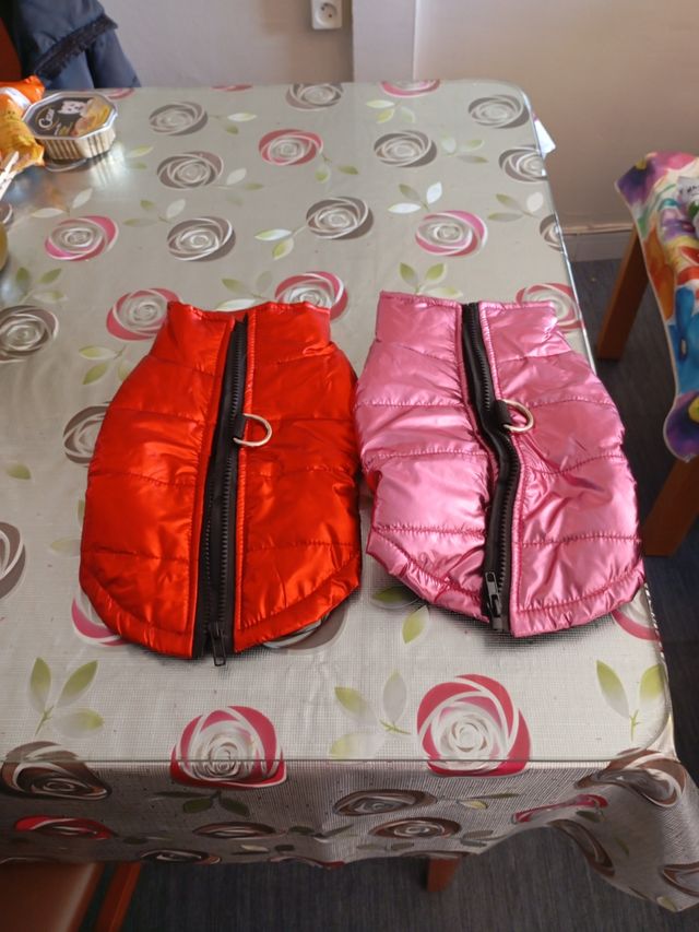 Trage perro con arnes