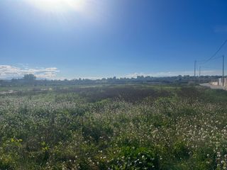 TERRENO RUSTICO ECOLOGICO.