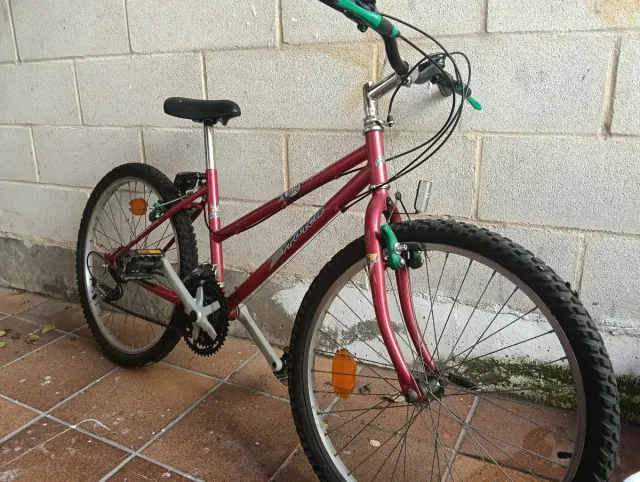**BICICLETA 🚲***