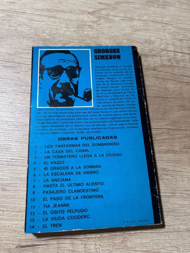 En caso de desgracia de Simenon