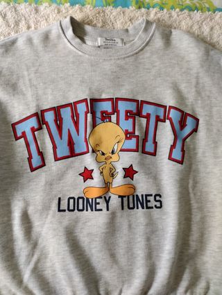 Sudadera Piolín/Tweety