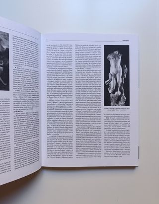 Diccionario de mitología clásica.