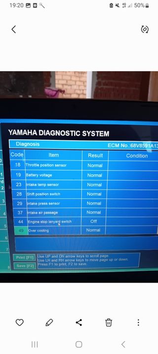 Diagnosis fueraborda Yamaha y suzuki 