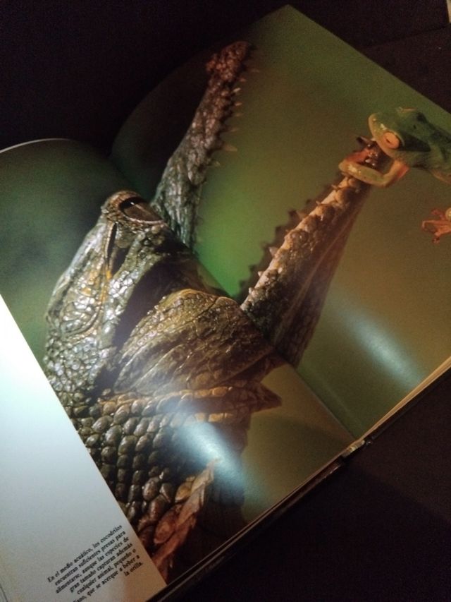 COLECCIÓN 4 TOMOS HISTORIA NATURAL /SIN ABRIR/