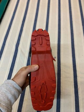 Dynafit DYNA EVO carbono botes skimo