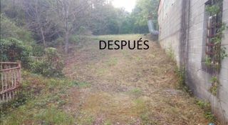 Césped artificial y servicios de jardines 