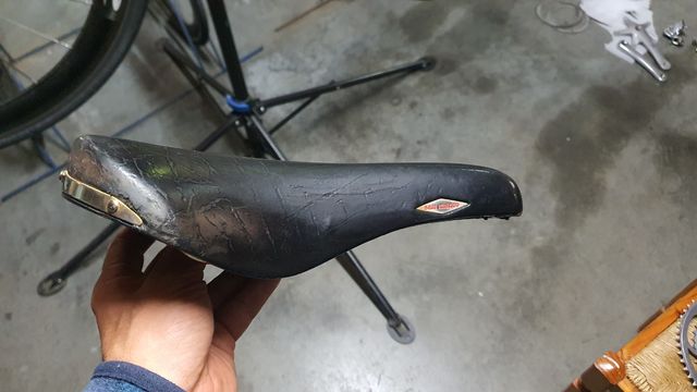 Selle san marco rolls