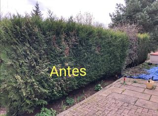 Mantenimiento de jardines 