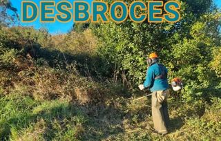 Limpieza de parcelas poda de árboles 