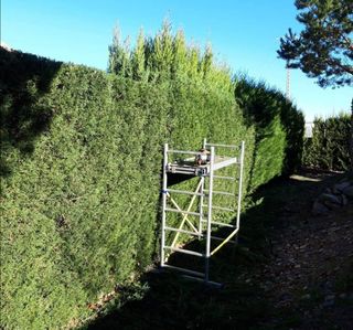 Jardinero económico 