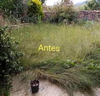 Jardinero económico 