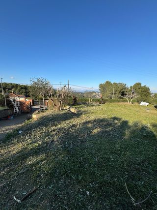 Limpieza de terrenos y parcelas
