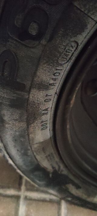 Rueda+llanta de coche Pirelli y gato 