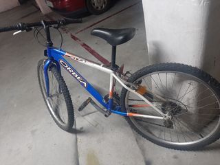 BICI ORBEA ACTION