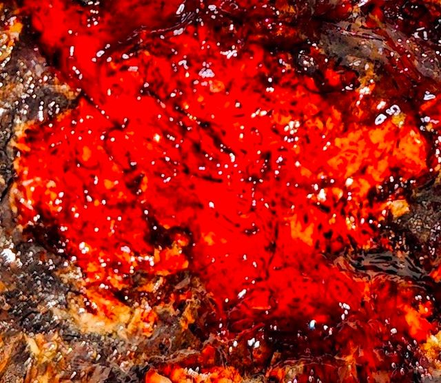 Gran cabujón AMBAR de Sangre HISPANO