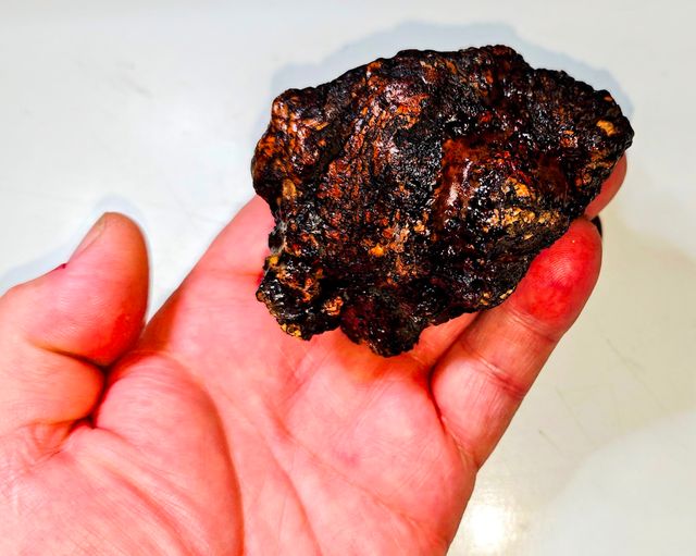 Gran cabujón AMBAR de Sangre HISPANO