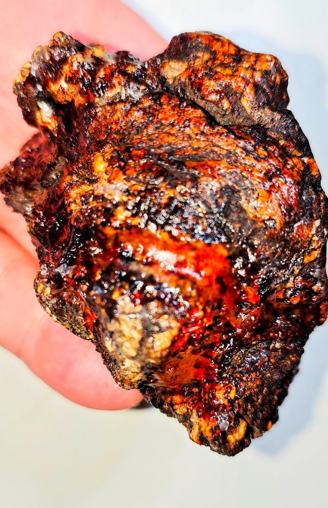 Gran cabujón AMBAR de Sangre HISPANO