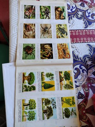Cromos animales y plantas 