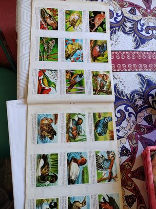 Cromos animales y plantas 