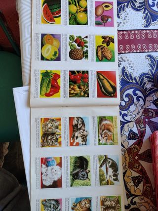 Cromos animales y plantas 