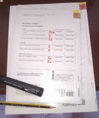 Processo Storico Loescher editore, Monina Motta