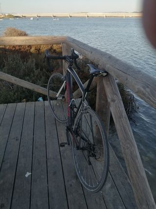 Bici Carretera Specialized Carbono (gravel)