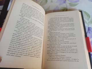 La rosa entre els llops: Premi Nèstor Luján de Novel·la Històrica 2014