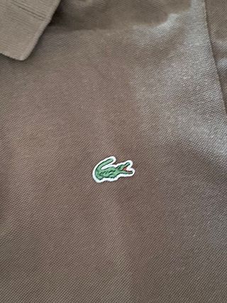 polo lacoste 