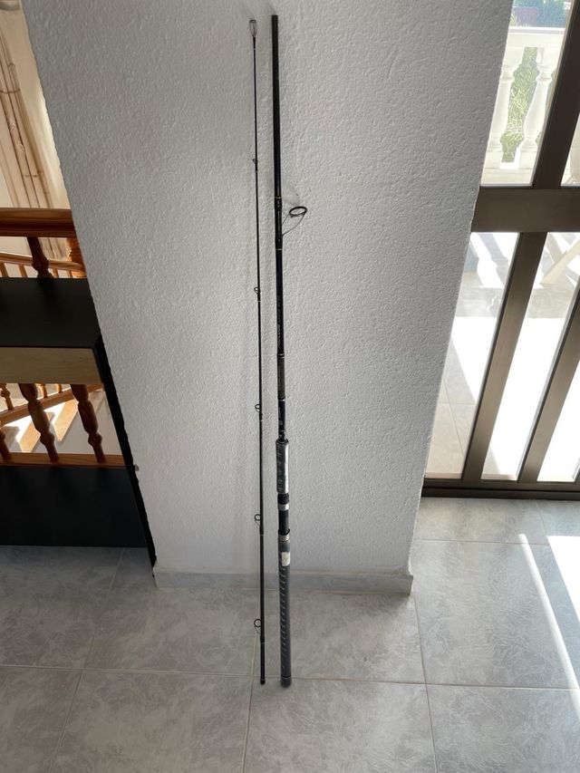 Caña pioner altitude lure spin