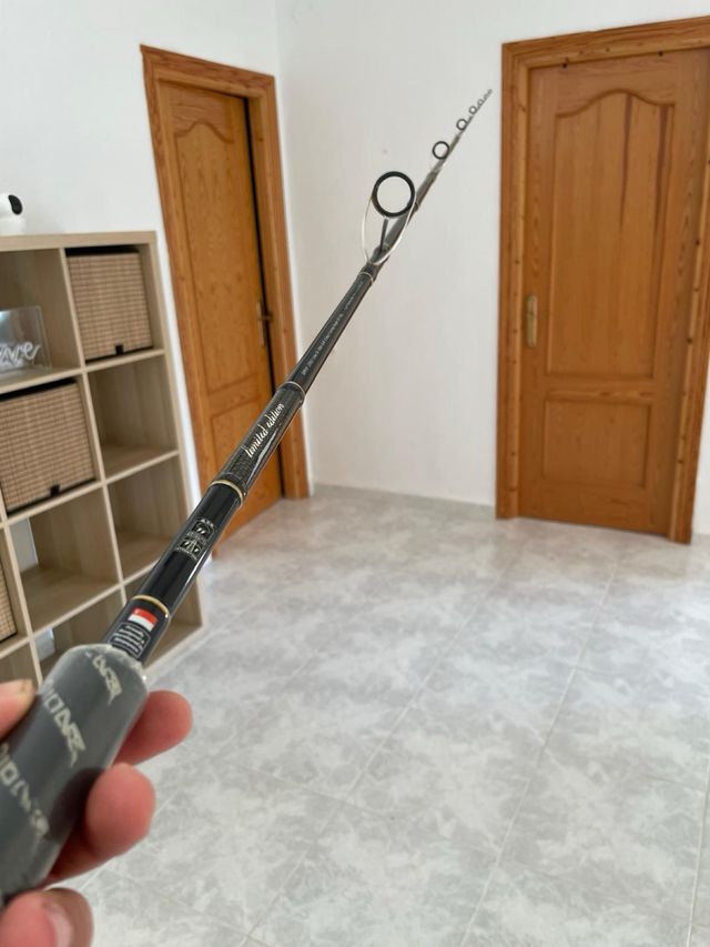 Caña pioner altitude lure spin