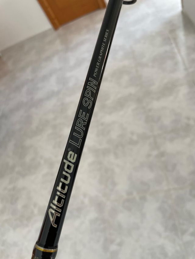 Caña pioner altitude lure spin