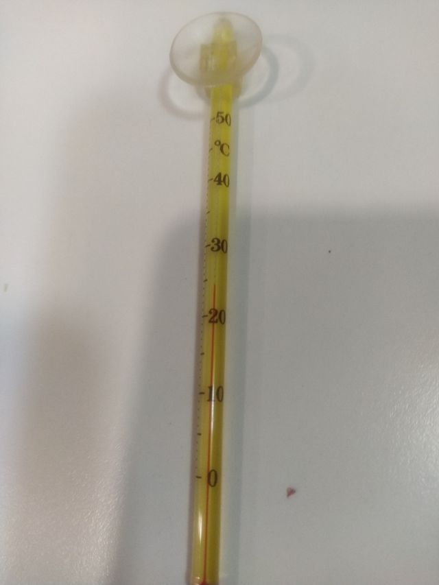 Termómetro para acuarios