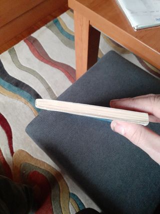 El verano de la sirena