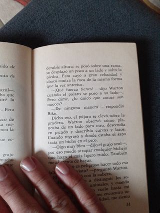 El verano de la sirena