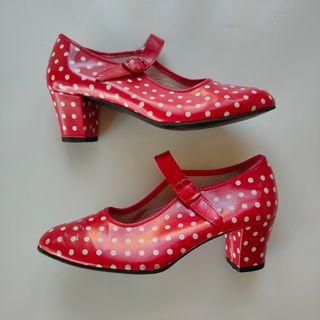 Zapatos flamenca