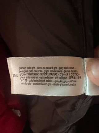 Plumifero a Estrenar