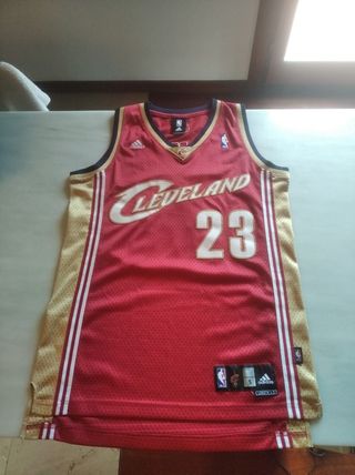 Lebron James Cleveland Cavaliers NBA