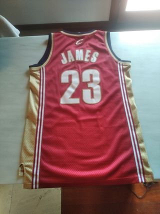 Lebron James Cleveland Cavaliers NBA
