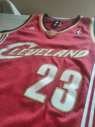 Lebron James Cleveland Cavaliers NBA