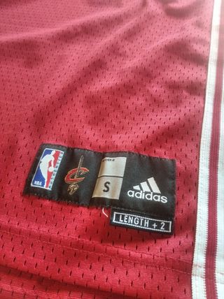 Lebron James Cleveland Cavaliers NBA