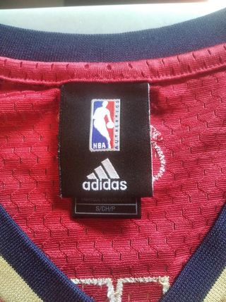 Lebron James Cleveland Cavaliers NBA