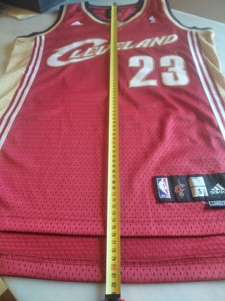 Lebron James Cleveland Cavaliers NBA
