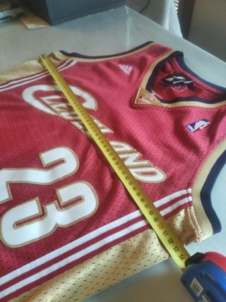 Lebron James Cleveland Cavaliers NBA