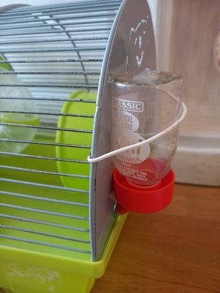 Jaula hamster