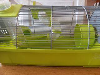 Jaula hamster