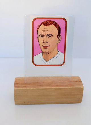 CROMO DI STEFANO 1977 REAL MADRID