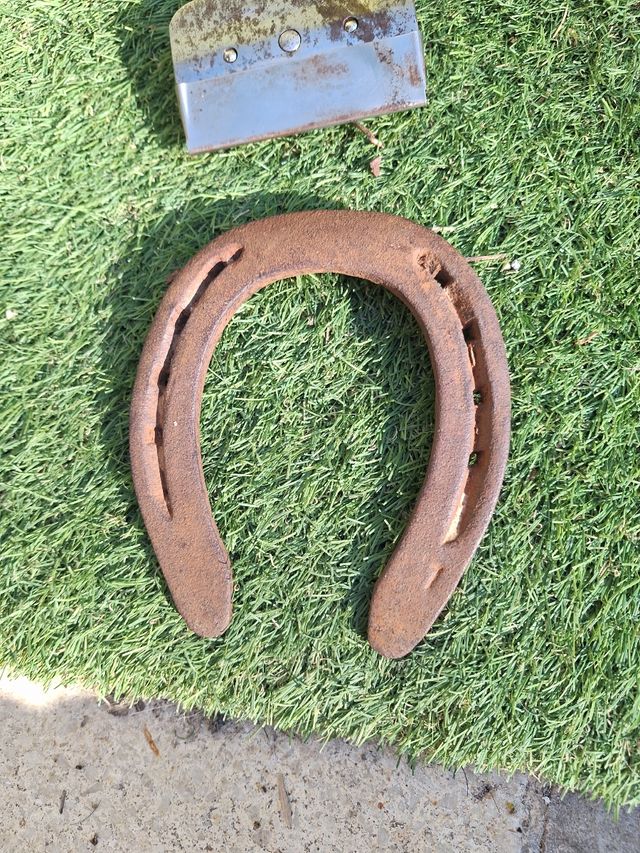 Máquina de esquilar animales antigua