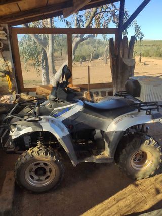 Quad ATV Linhai 300 4x4