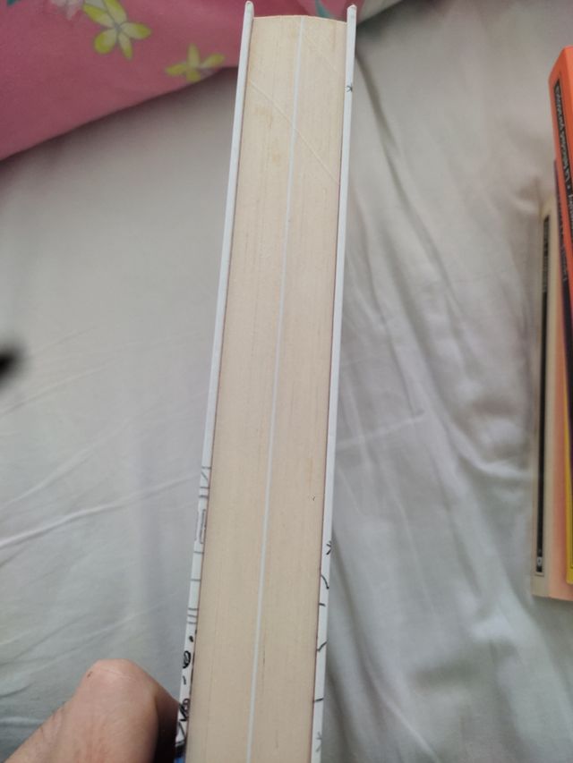 Canción de amor definitiva: La vida, como un disco, tiene dos caras