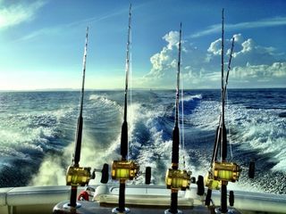 SALIDA DE PESCA ALICANTE